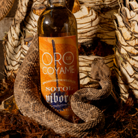 Sotol Vibora
