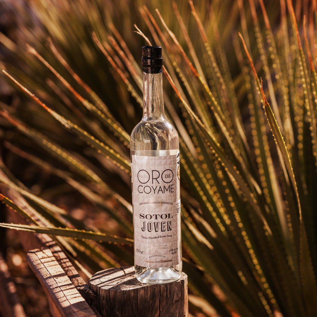 Sotol Blanco - Joven